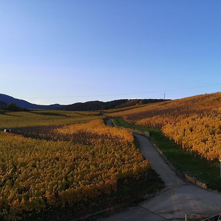 L'Horizon Leilighet Bergheim Eksteriør bilde
