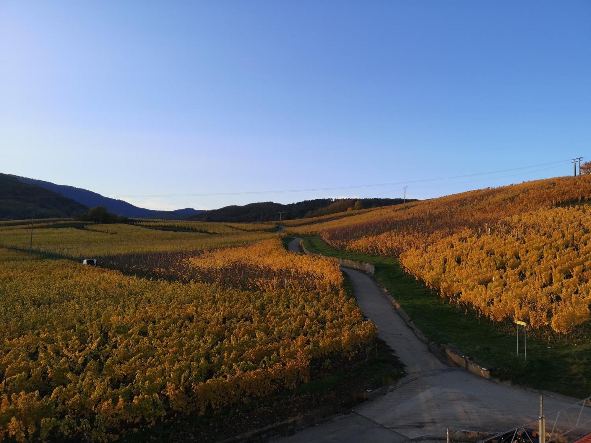 L'Horizon Leilighet Bergheim Eksteriør bilde
